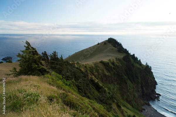 Obraz Cascade Head