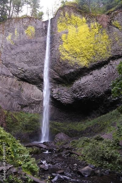 Obraz Latourell Falls