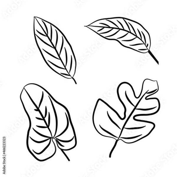 Obraz Vector Set of different fresh tropical leaves on white background