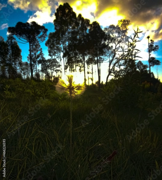 Obraz sunset in the mountains