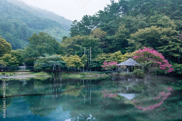 Obraz 호수위누각