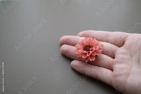 Fototapeta 小さな花