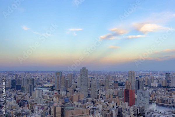 Fototapeta 東京都港区汐留から見た東京の都市景観