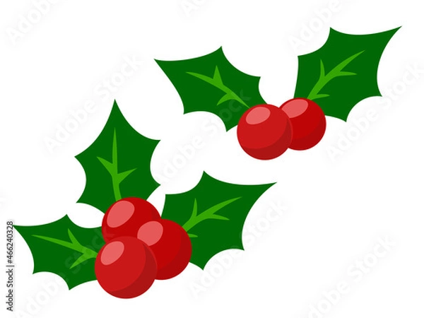 Fototapeta クリスマス装飾　ヒイラギ　クリスマス素材のアイコン/ベクター画像