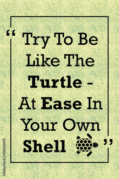 Obraz Try to be like the turtle at ease in your own shell inspirational quote