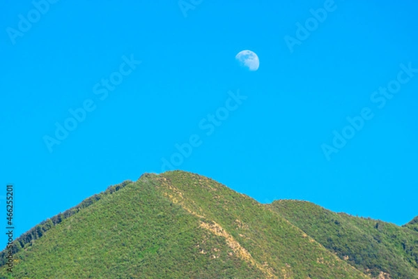 Fototapeta Colli e luna