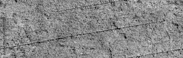 Obraz Old tree gray seamless background