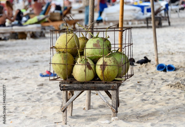 Obraz drinking coconuts on a beach