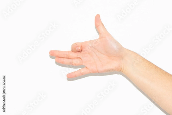 Obraz Hand making dog shape white background