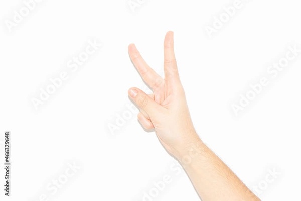 Obraz Peace hand white background