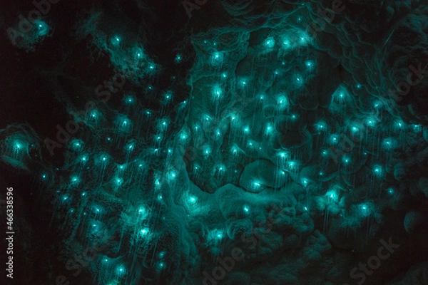Obraz glowworms in waitomo