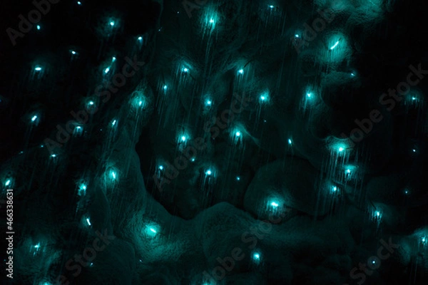 Obraz glowworms in waitomo
