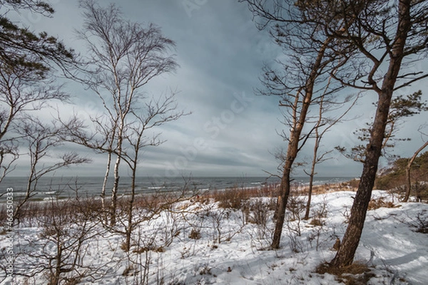 Fototapeta Winter seascape view at Baltic sea coast in Lithuania