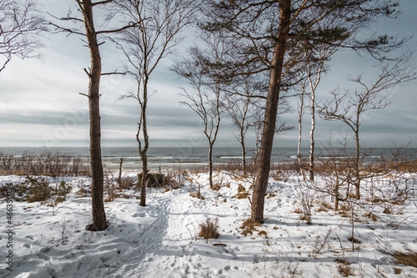 Fototapeta Winter seascape view at Baltic sea coast in Lithuania