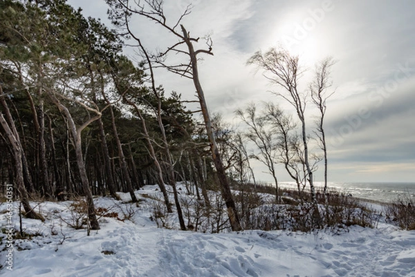 Fototapeta Winter seascape view at Baltic sea coast in Lithuania