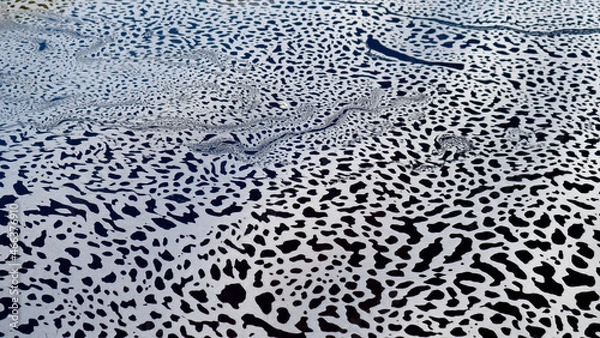 Obraz In Chapada Diamantina, the rivers form these amazing foam patterns on the surface. Shot with Sony a7iii
