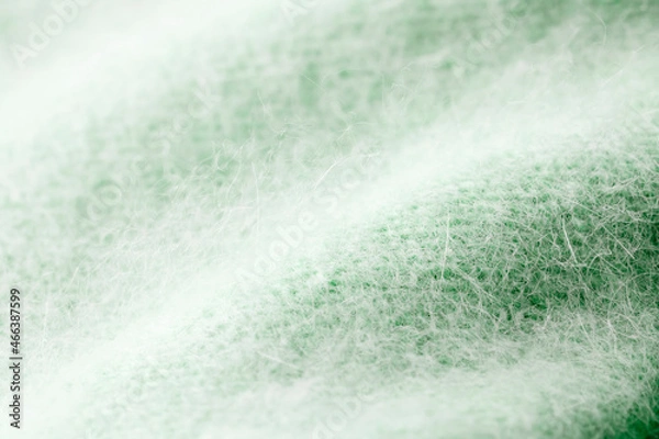 Fototapeta 薄黄緑色のアンゴラニット地のテクスチャ　質感