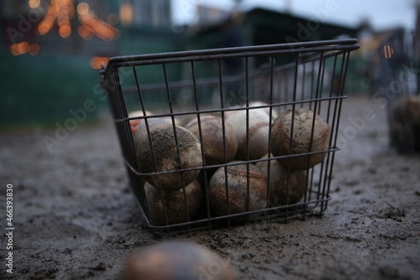 Obraz １９５０年代野球場、撮影セット