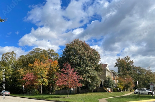 Fototapeta Lorton, Virginia, USA - October 31, 2021: Suburban Homes Surrounded by Trees Changing Colors and Leaves Falling from the Branches on a Bright Autumn Morning