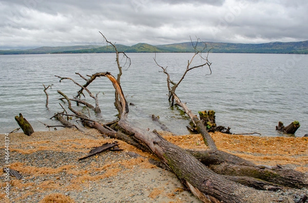 Obraz Крутики