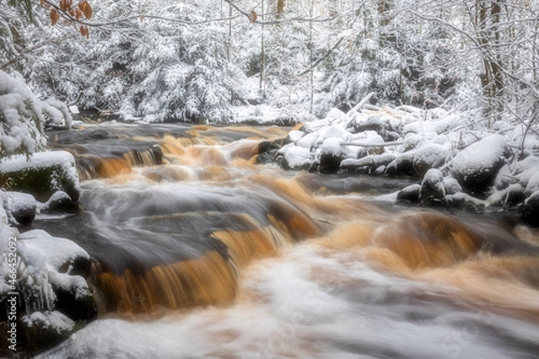 Obraz Scenic view of stream flowing in forest