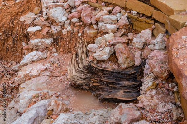 Fototapeta Red rock spring