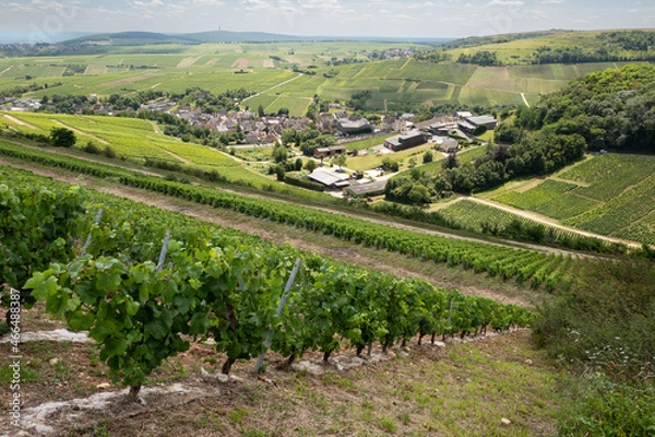 Obraz Sancerre, Chavignol