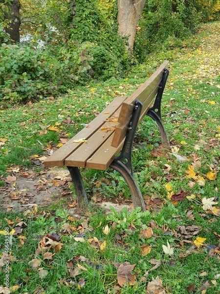 Fototapeta bench in a garden