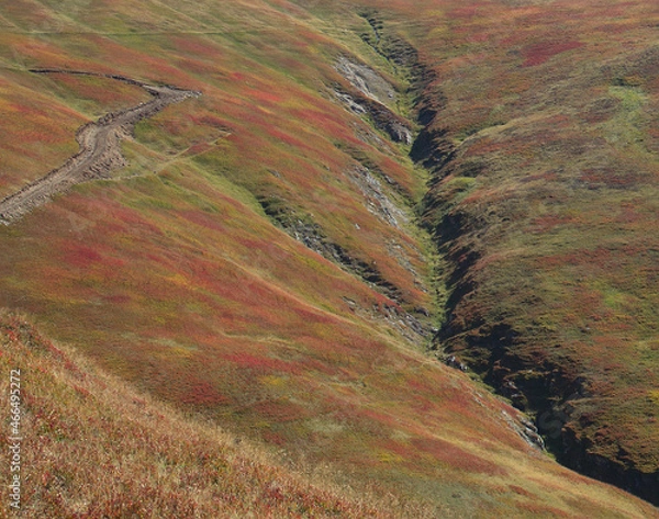 Fototapeta Autumn colours on mountain side with path and creek