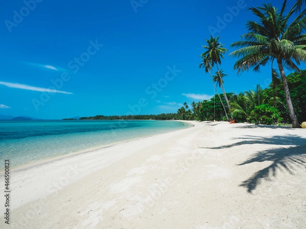 Fototapeta Scenic view of white sand beach tropical island with turquoise water and coconut palm tree. Koh Mak Island, Trat, Thailand.