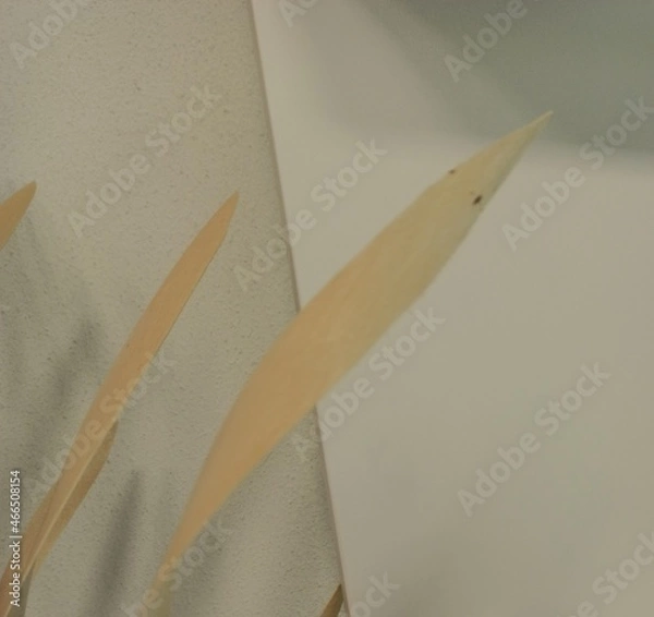 Obraz wall and paper