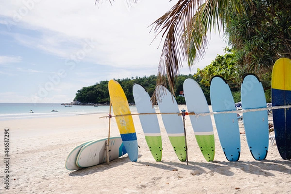 Obraz Surfboard and palm tree on beach
