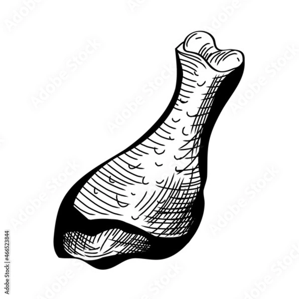 Obraz Chicken legs on white. Meat old style art in retro style. Vector black line art illustration.