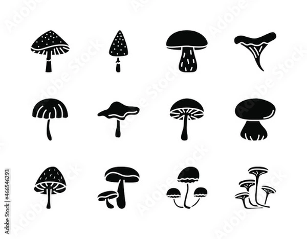 Fototapeta Mushrooms flat line icons set. Poisonous and edible mushroom symbol. Simple flat vector illustration for web site or mobile app