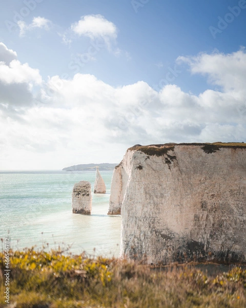 Obraz coastline with white cliffs
