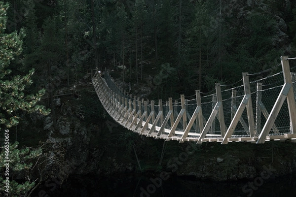 Fototapeta bridge in the forest
