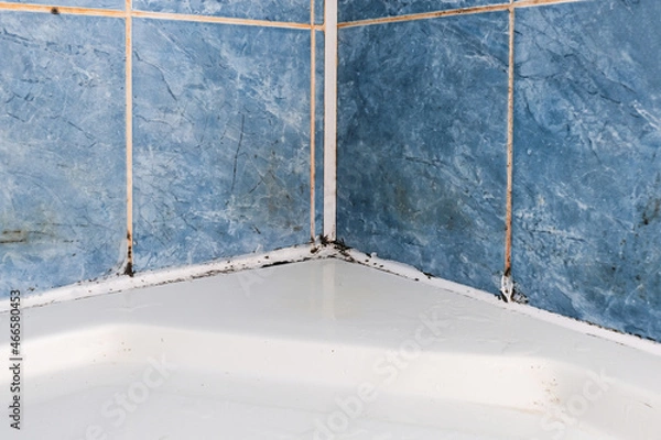 Fototapeta Mold fungus and rust growing in tile joints in damp poorly ventilated bathroom with high humidity, wtness, moisture and dampness problem in bath areas and shower