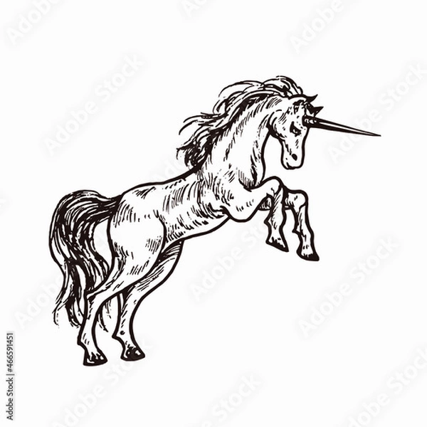 Fototapeta Unicorn, hand drawn doodle sketch, ink drawing illustration