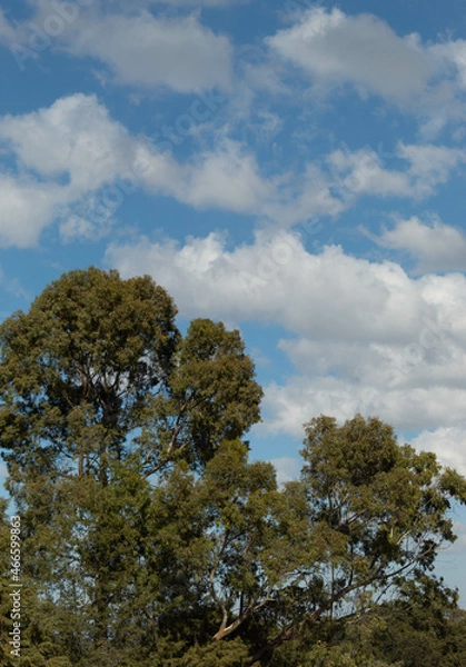 Obraz Paso del Tiempo