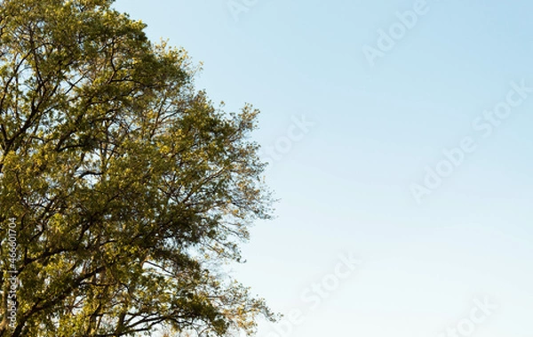 Fototapeta Reflexiona