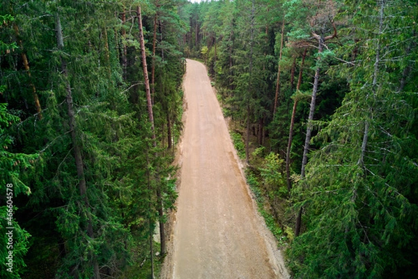 Fototapeta Dirt road in a dark coniferous forest, view from a low height