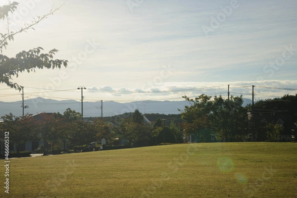 Fototapeta 公園の夕暮れ
