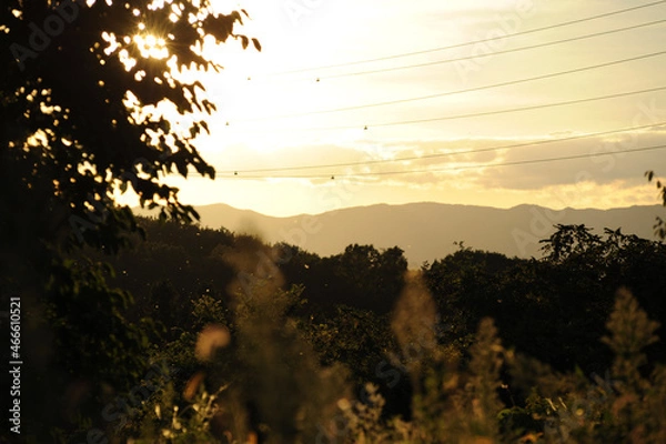 Fototapeta 夕焼け