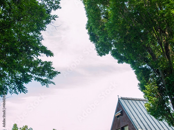 Obraz 公園の三角屋根と樹木と空と雲