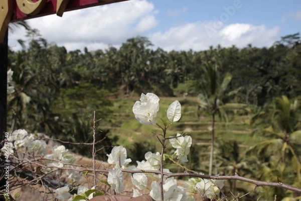 Obraz Spring in the mountains
