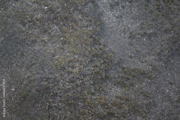 Obraz Texture background