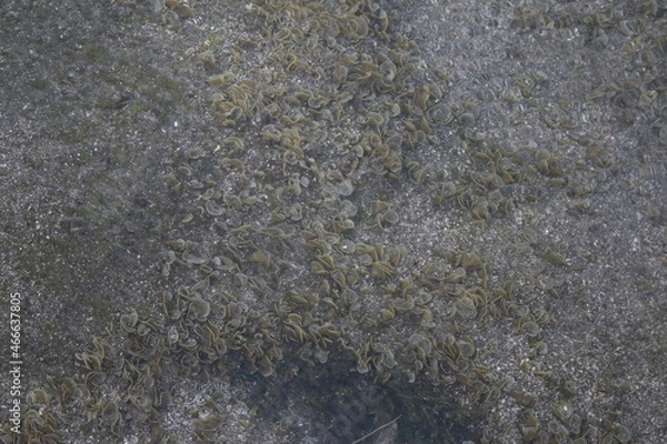 Obraz Stone wall texture