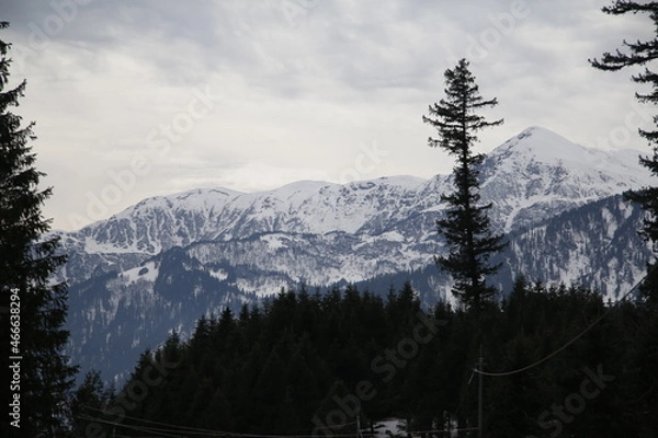 Obraz Winter in the mountains