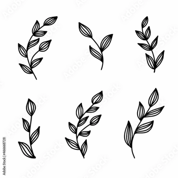 Fototapeta Vector drawing of twigs