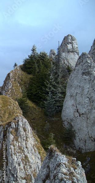 Fototapeta Vulture-like face in cliff